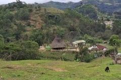 20251207-201-Maubisse-Lititei