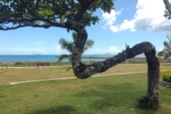 20250113-47-Raintree-Square-Park