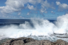 20250116-115-Blowholes-on-Tonga