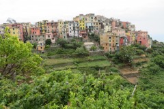 IMG_4081-Corniglio-Cinque-Terre