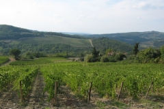 IMG_0216-Chianti-wijngaarden