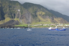 P1010446-Tristan-da-Cunha