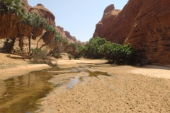 20231009-253-In-de-wadi