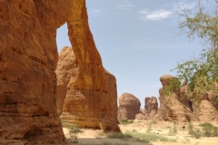 20231010-348-Ennedi