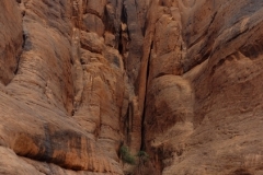 20231010-374-Guelta-dArchei