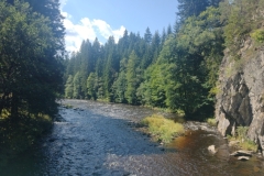 20230819-1161-Vltava-River-Sumava-N.P.