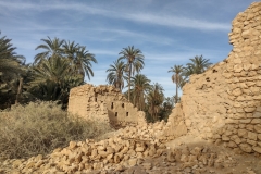 20230310-25-Oud-Tamerza