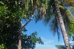 20240913-29-A-view-to-the-see-thats-never-far-away
