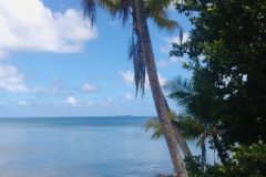 20240913-50-Always-nice-sea-views