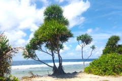 20240913-68-Funafuti-beach-scene