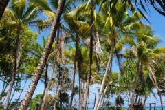 20240914-124-Walking-on-a-small-island