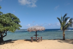 20240901-9-www.wavesatsurfside.com_