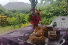 20240905-74-volcanoislandparadise@gail.com_