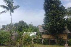 20240905-77-Tanna-www.volcanoparadise.com_
