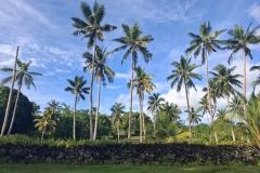 20251128-61-Tongan-Fort-Tamietumu