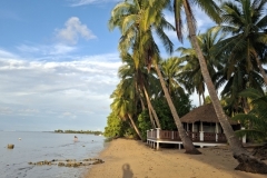 20251130-160-Beach-in-the-north