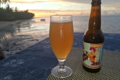 20251130-170-Koko-Bay-with-a-Wallis-beer-from-the-tap