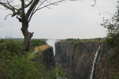 IMG_1063-Livingstone