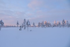 IMG_5457