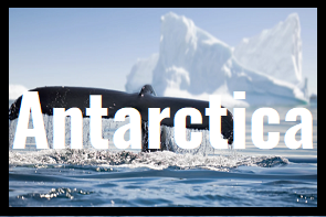 antarctica